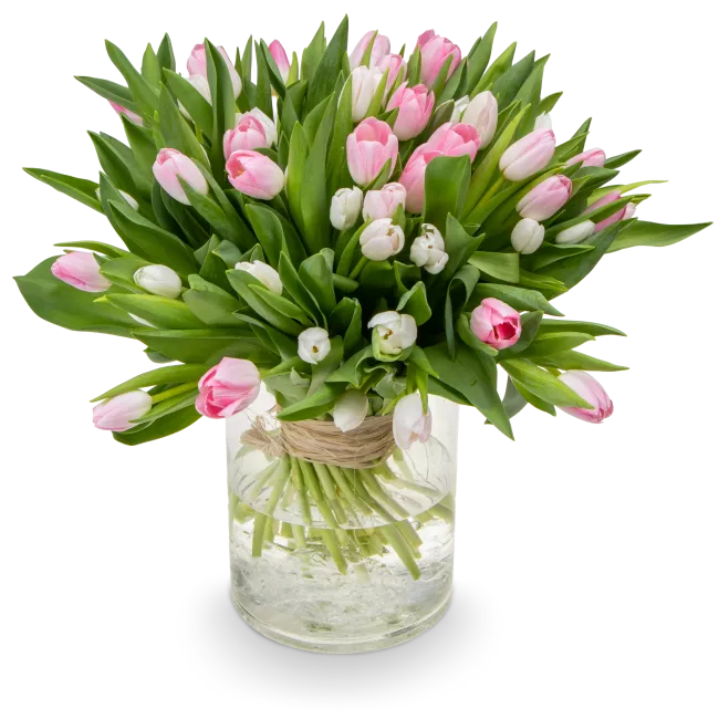 Bouquet of pink tulips